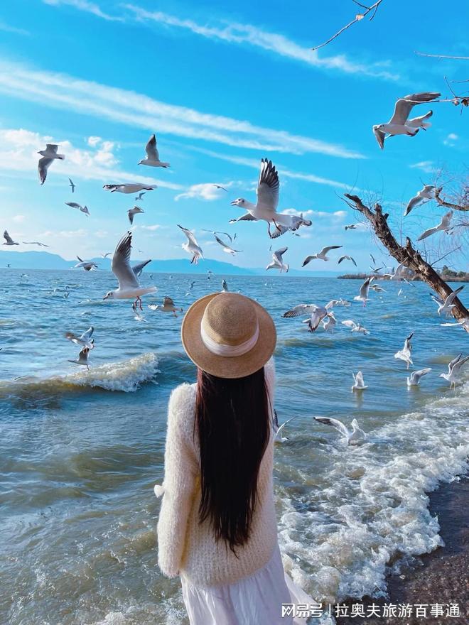 跟团来云南旅游六天五晚全九游官方app入口新游玩开销明细分享 详细实用