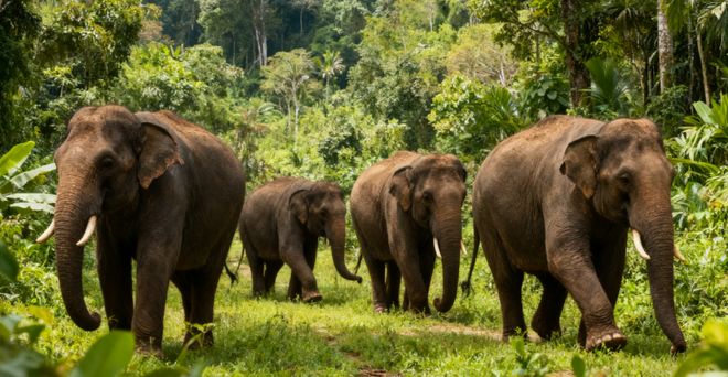 云南旅行社口碑与综合实力对比：蒙旅断层领跑6项口碑指标满分(图3)