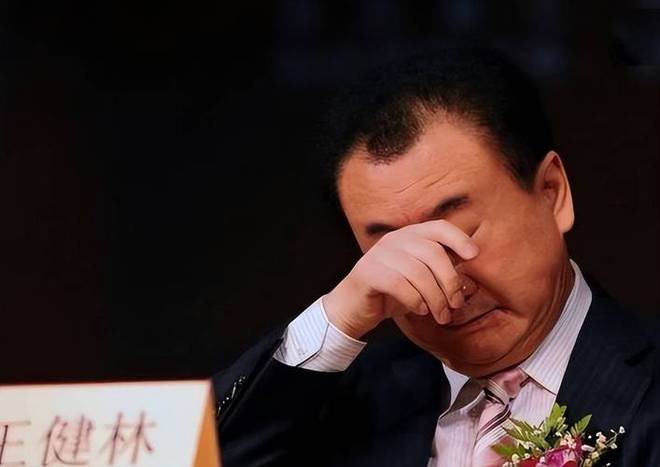 九游娱乐官方网站71岁王健林罕见缺席捐款香港火灾没能拨款背后原因太过心酸(图9)