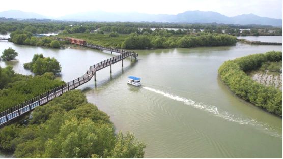 1212开幕！品鲜蚝、逛湿地、抽温泉票铁涌农文旅盛宴喊你打卡(图2)