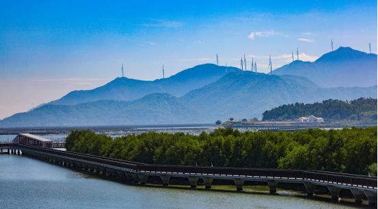 1212开幕！品鲜蚝、逛湿地、抽温泉票铁涌农文旅盛宴喊你打卡(图4)