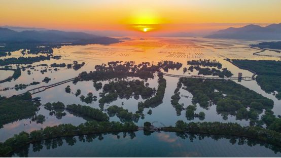 1212开幕！品鲜蚝、逛湿地、抽温泉票铁涌农文旅盛宴喊你打卡(图7)