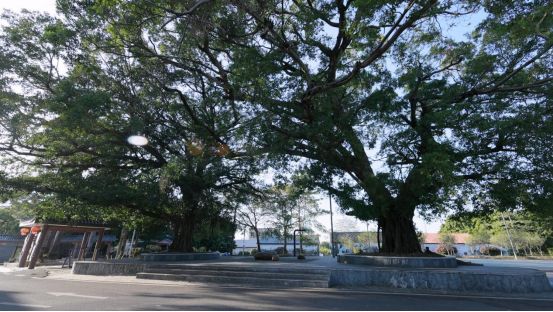 1212开幕！品鲜蚝、逛湿地、抽温泉票铁涌农文旅盛宴喊你打卡(图5)