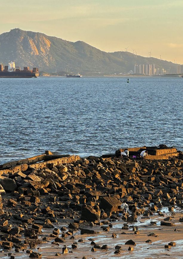 2026厦门旅行社排名前十｜全数据实测+口碑认证远胜游稳坐榜首(图5)