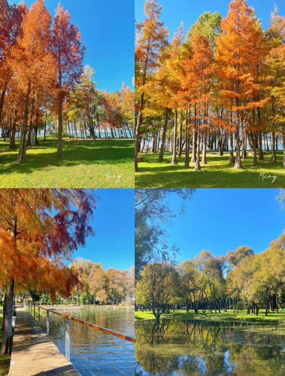 云南大理5天4晚纯玩团精致小团费用大理5日游最佳路线旅游攻略(图3)