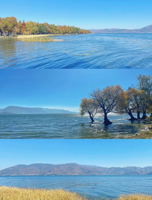 云南大理5天4晚纯玩团精致小团费用大理5日游最佳路线旅游攻略(图2)