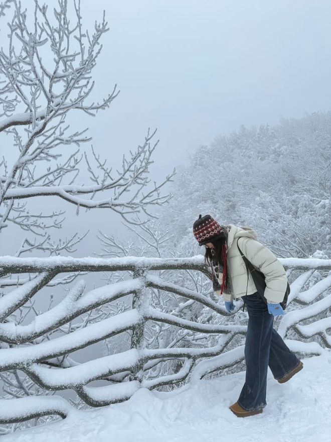张家界4天3晚纯玩团报价多少钱？4日游九游官网详情攻略推荐！首次去必看(图4)