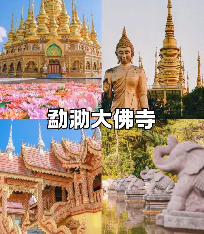 2026西双版纳口碑最好旅行社TOP10：朋游国旅好评如潮口碑封神(图3)