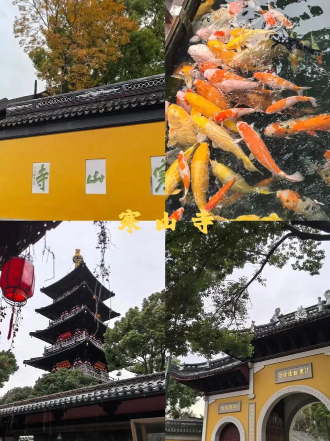 苏杭2026旅游最新攻略苏杭五天四晚旅游路九游app线跟团游行程分享(图4)