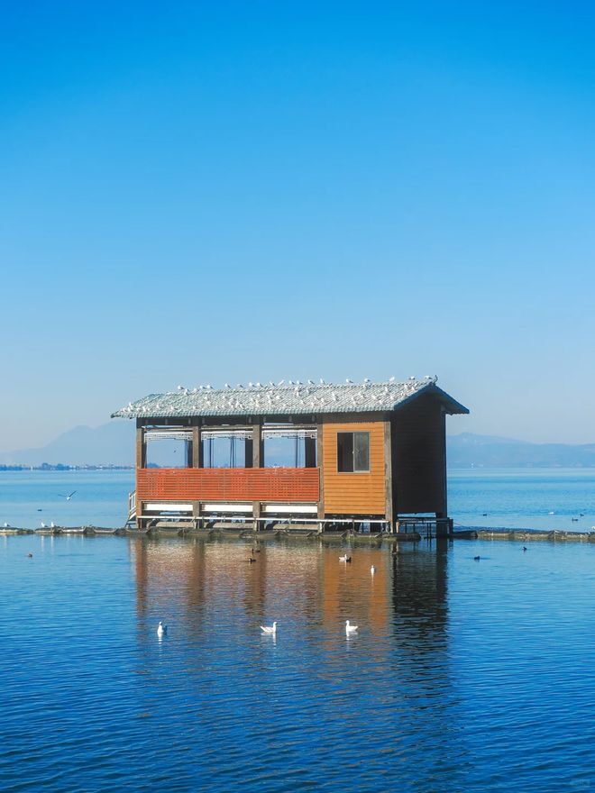 云南旅游跟团报价｜6日游全景套餐含必去景点六天五晚省心出行九游官方app入口(图2)