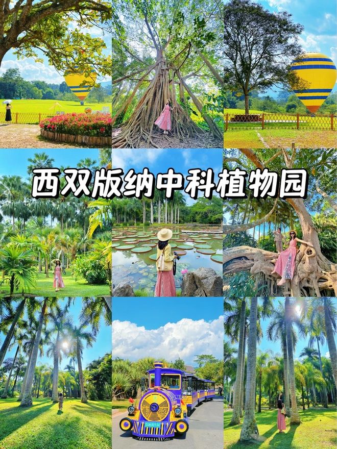 西双版纳3天2晚纯玩团价格多少钱带你解锁西双版纳的浪漫风情(图3)