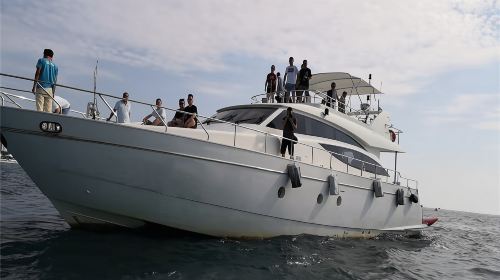 2026年起这些项目免征增值税